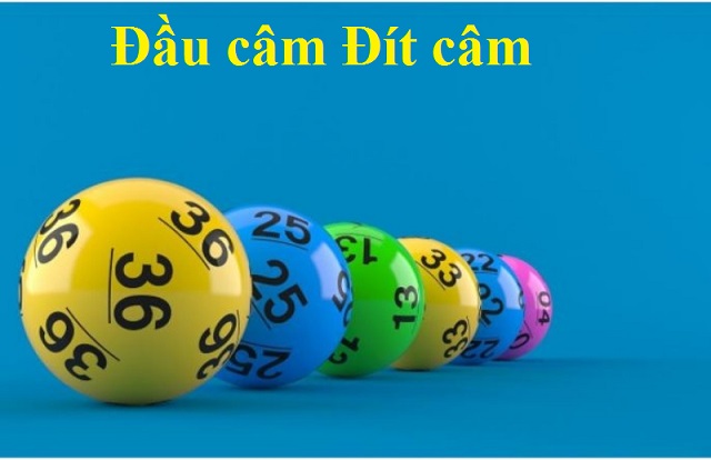 Lập dàn đề đầu đuôi lô câm